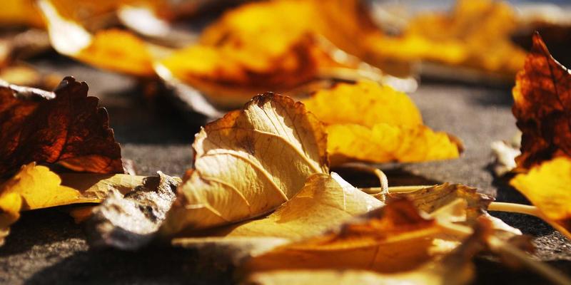 从合规到智控:企业内控体系的数字化转型与ISO认证升级实践