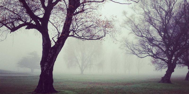 从隐性知识显性化到驱动组织创新:构建顶级信赖的企业知识管理系统