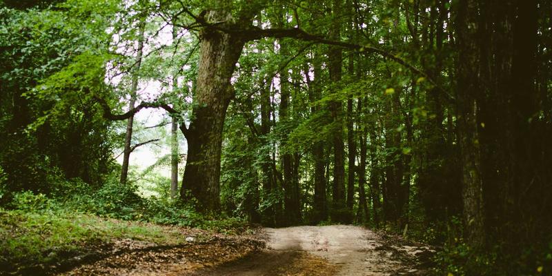 阿米巴中国化实战:巧用认证与流程优化,激活内部创业细胞